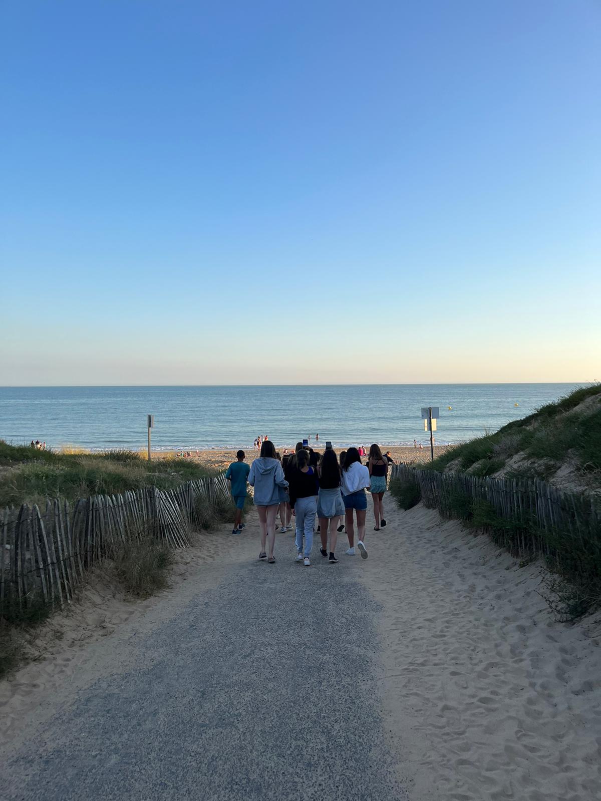 17a8dfa1-cfc5-41d5-92ee-9cf81bd79e67