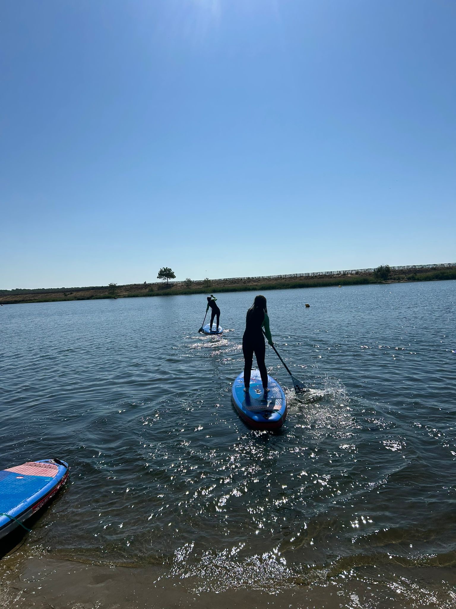 f9d93890-43b8-4d3b-a2f0-0f57486783e1