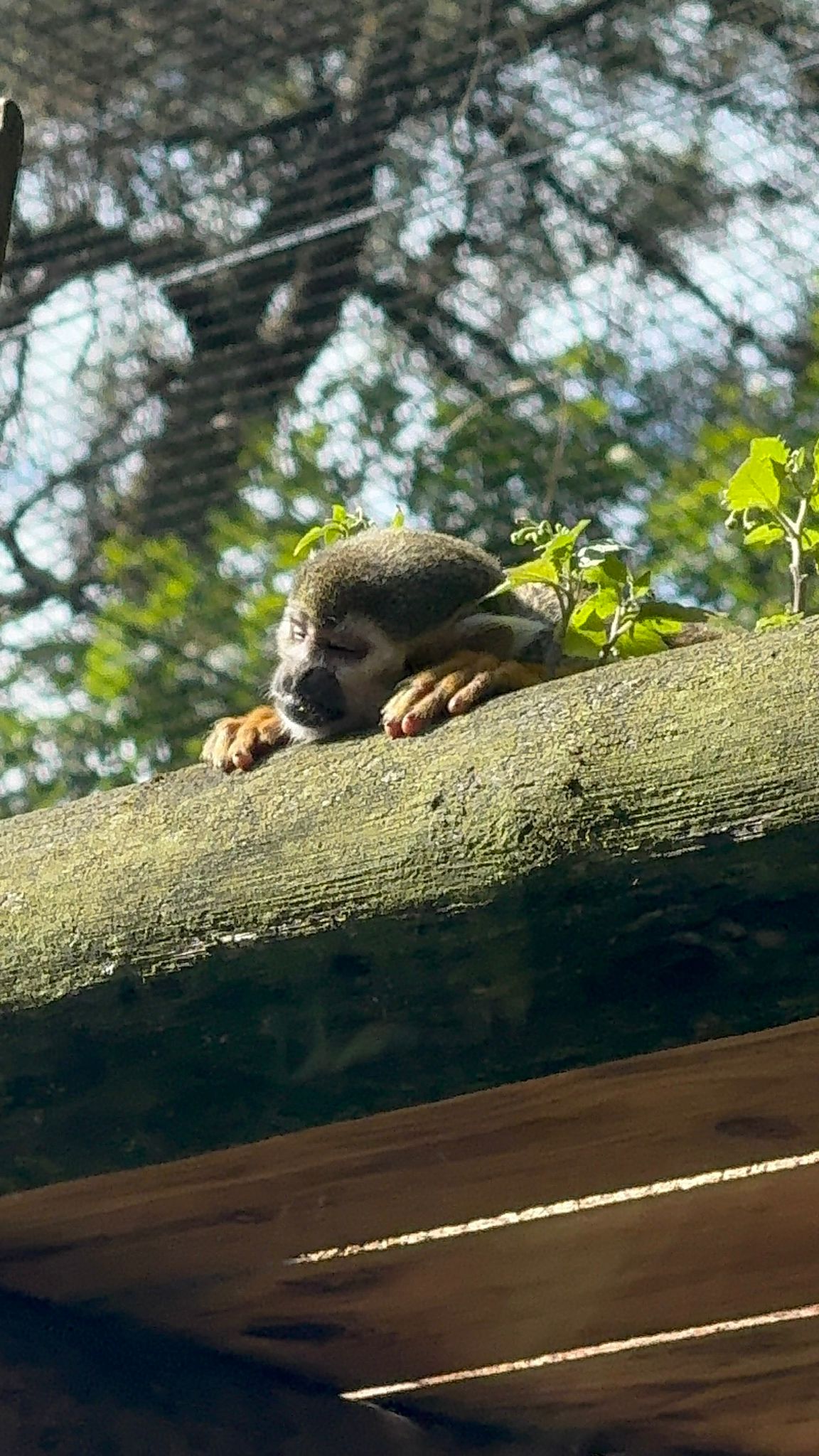 09b875f9-cfc3-4113-bb9b-2e5b9c74f4c1