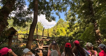 24f6f29b-f5bb-44dc-a7ad-b986bd568cdf