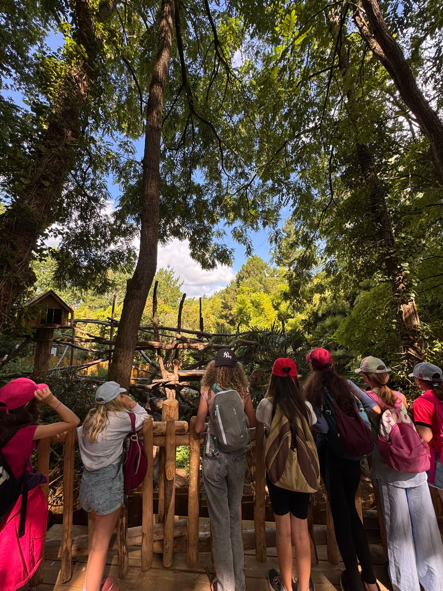 24f6f29b-f5bb-44dc-a7ad-b986bd568cdf