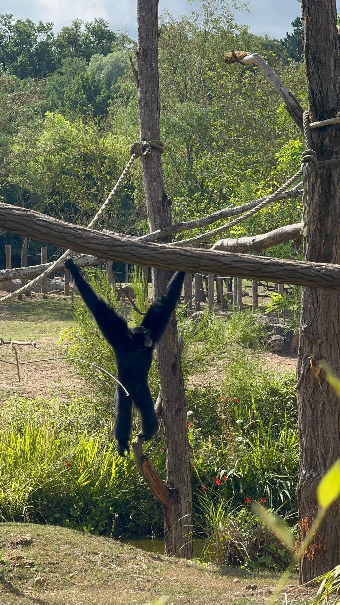 8caca33e-cb75-46c5-a76d-051eeb4a3290